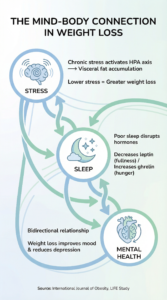 Infographic showing the mind-body connection in weight loss, illustrating how stress, sleep, and mental health are interconnected and impact weight management success